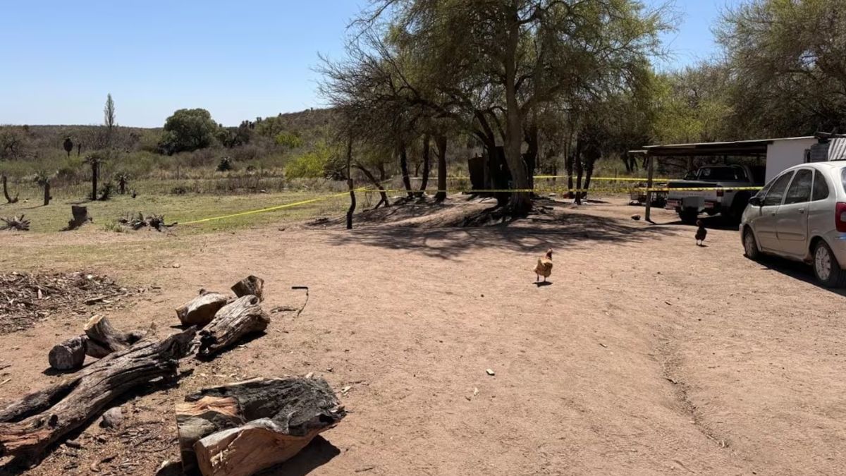 El campo donde ocurrió el crimen en Córdoba. El campo donde ocurrió el crimen en Córdoba.