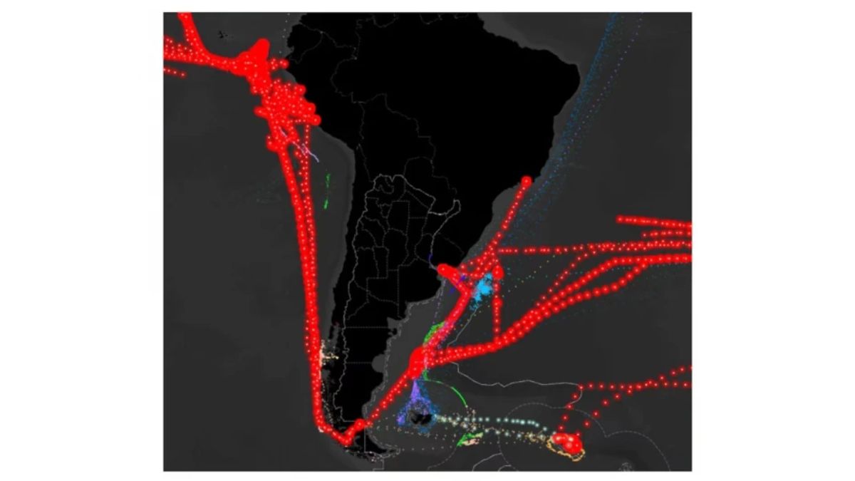 En el mapa se observan las trayectorias de los buques "de interés" para Argentina a lo largo de un año: el color rojo identifica a los buques de bandera china. (Imagen: Eicemar. Prefectura Naval Argentina) En el mapa se observan las trayectorias de los buques "de interés" para Argentina a lo largo de un año: el color rojo identifica a los buques de bandera china. (Imagen: Eicemar. Prefectura Naval Argentina)