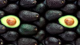 Que una palta esté dura significa que no ha alcanzado su proceso de maduración