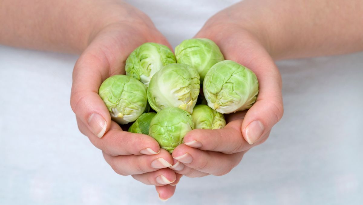 Repollitos de bruselas. Repollitos de bruselas.