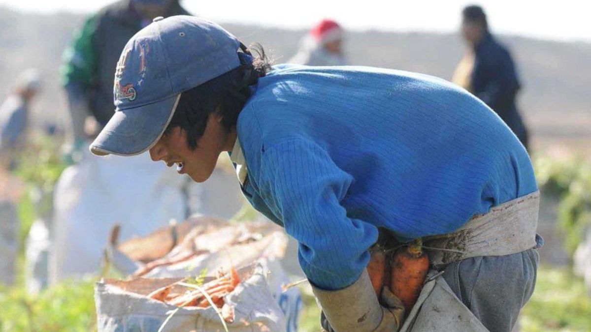 Trabajo infantil: detectaron en un operativo de la Subsecretaría a tres menores, de 11,12 y 13 años, trabajando en una finca de Lavalle, en violación del artículo 148 Bis del Código Penal.