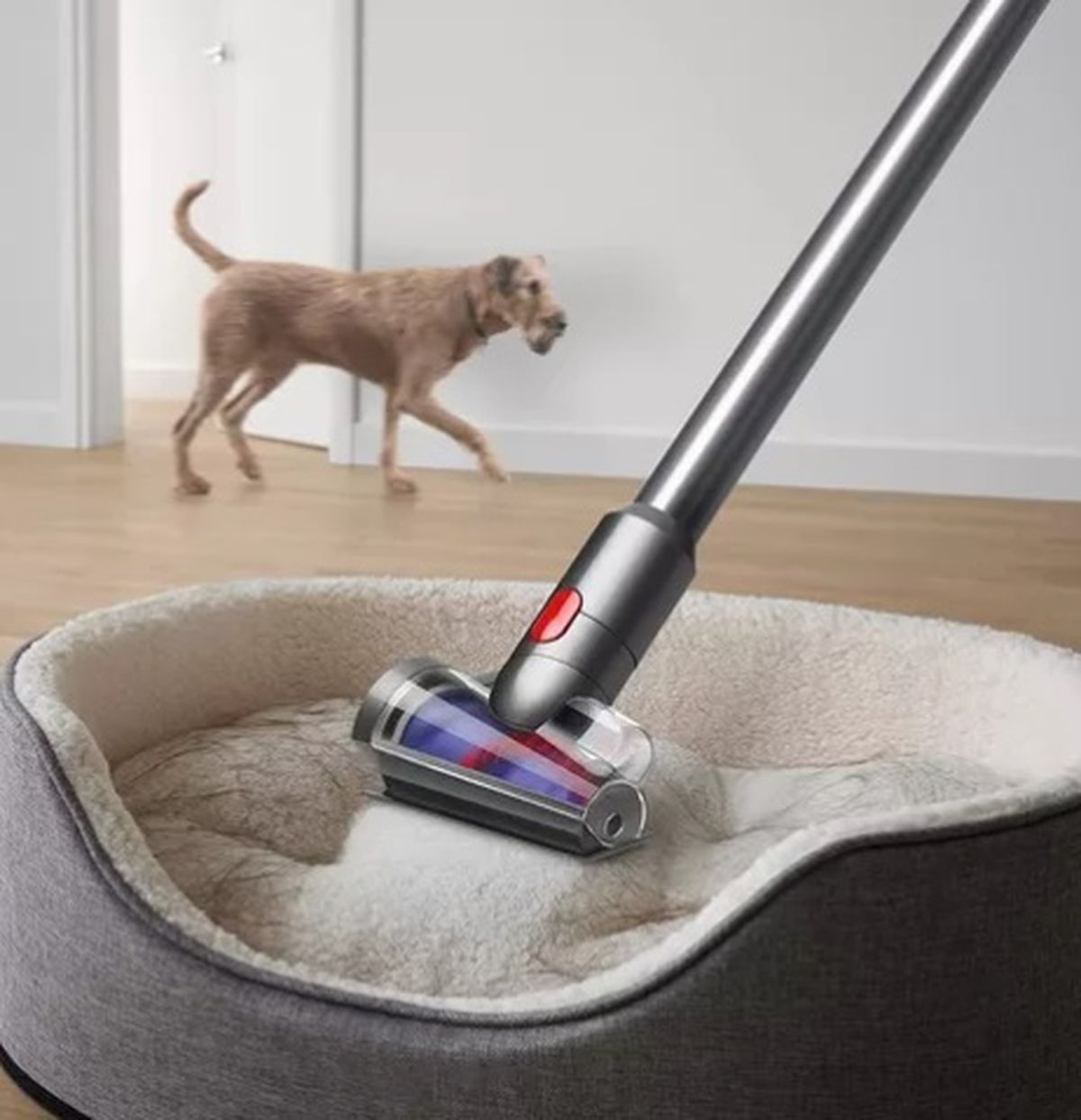 Nunca había sido tan sencillo sacar los cabellos de las mascotas. Nunca había sido tan sencillo sacar los cabellos de las mascotas.