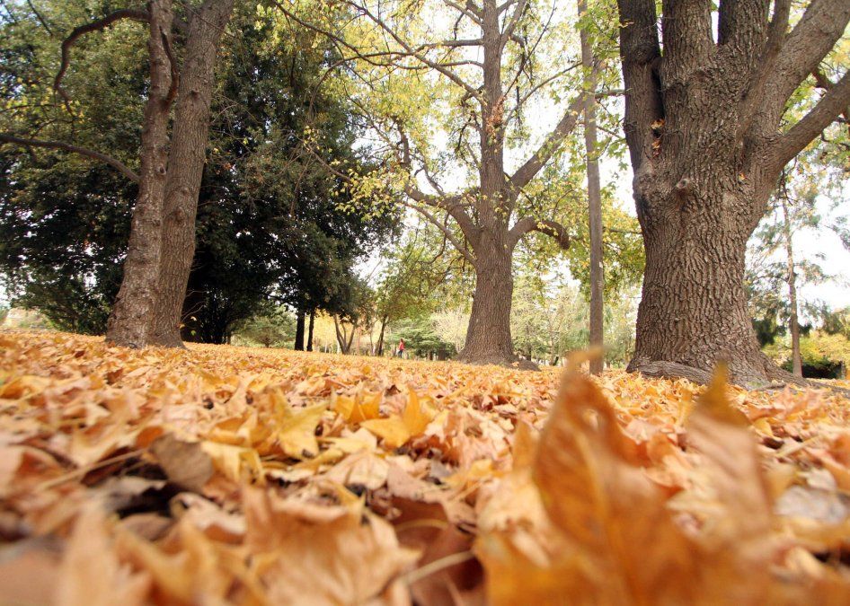 Se vienen unos magn&iacute;ficos d&iacute;as oto&ntilde;ales en Mendoza seg&uacute;n el pron&oacute;stico del tiempo.&nbsp;