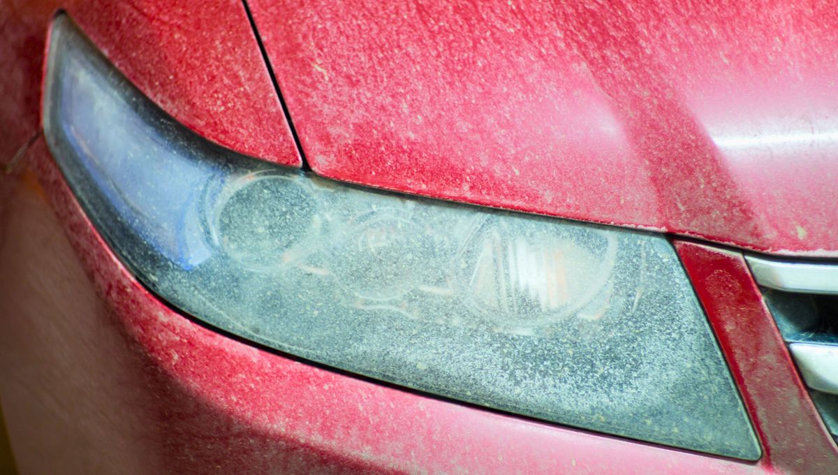 Un truco con vinagre muy sencillo para mantener el auto impecable.  Un truco con vinagre muy sencillo para mantener el auto impecable.