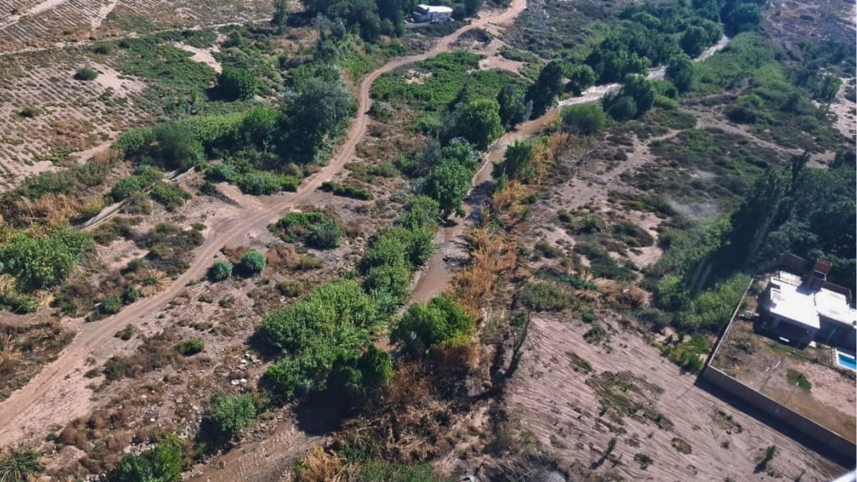 Las imágenes que tomó el helicóptero durante la búsqueda. Las imágenes que tomó el helicóptero durante la búsqueda.