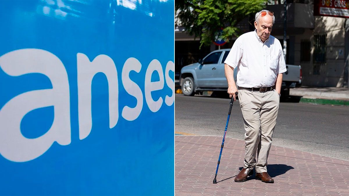 ANSES: si se confirma el nuevo aumento