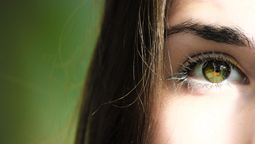 La razón por la que las mujeres distinguen mejor los colores que los hombres. Imagen: Pixabay