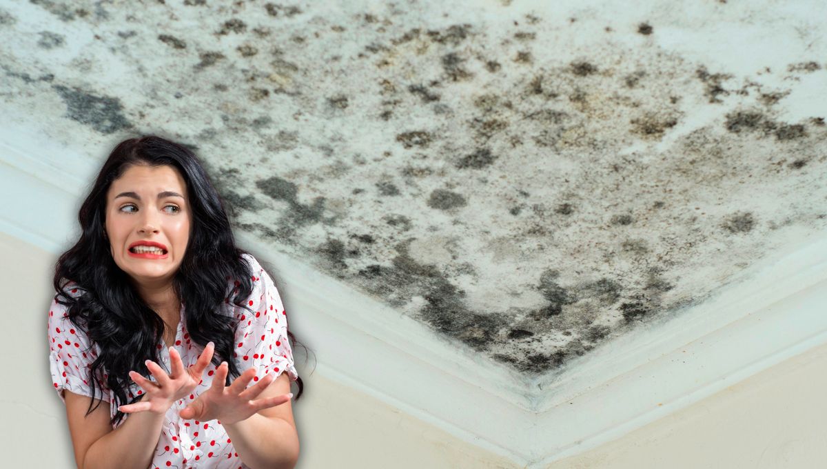 Cómo evitar el moho negro en el techo del baño usando un ingrediente.&nbsp;
