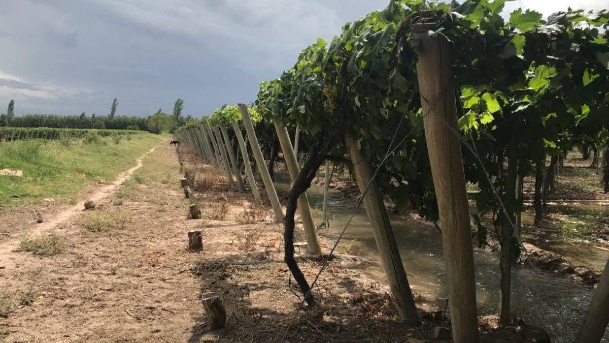 Desde el Este llegaron repercusiones por el Código de Aguas que planificó Irrigación.