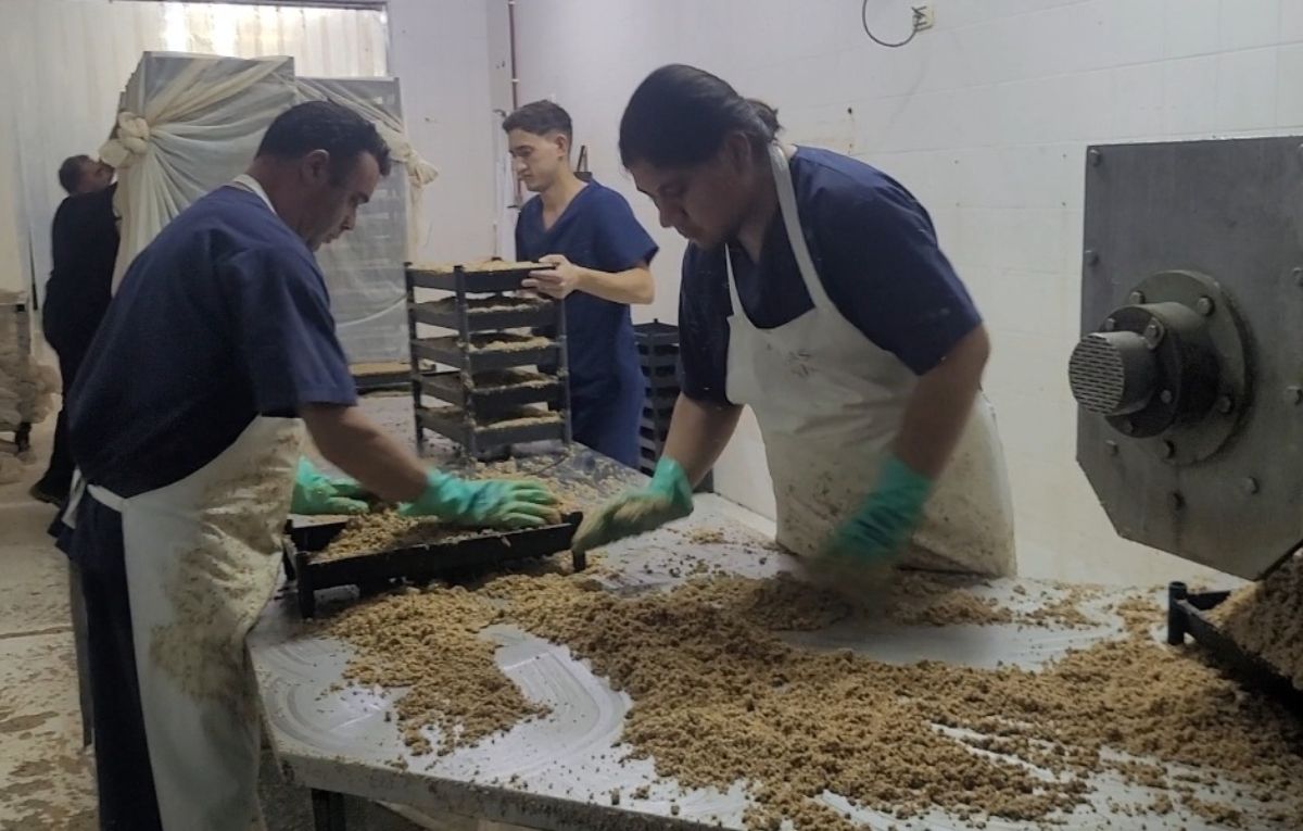 Millonaria licitación del Iscamen para un insumo clave del control de plagas