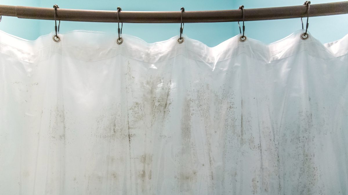Deja impecable y como nueva la cortina de la ducha del baño con el siguiente truco casero de limpieza. Deja impecable y como nueva la cortina de la ducha del baño con el siguiente truco casero de limpieza.