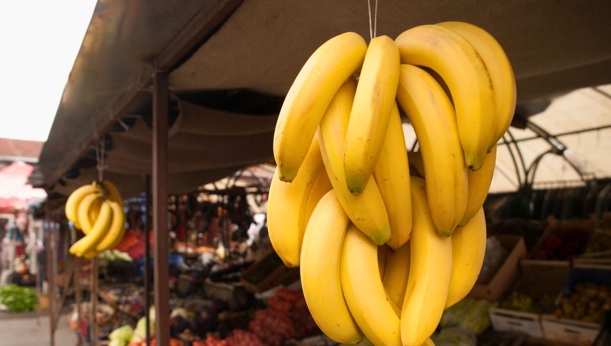 El secreto para que las bananas mantengan su textura y sabor está en colgarlas. El secreto para que las bananas mantengan su textura y sabor está en colgarlas.