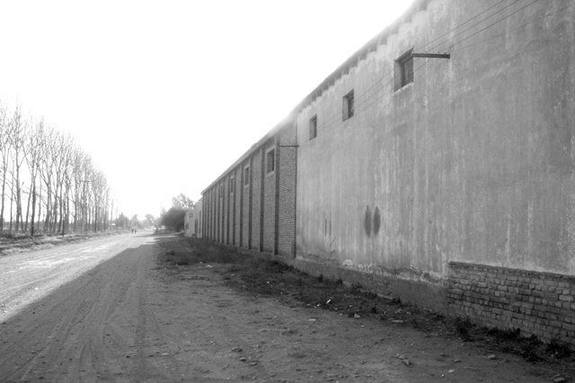 Historia local: el francés Delfín Simonnet, un viñatero y bodeguero