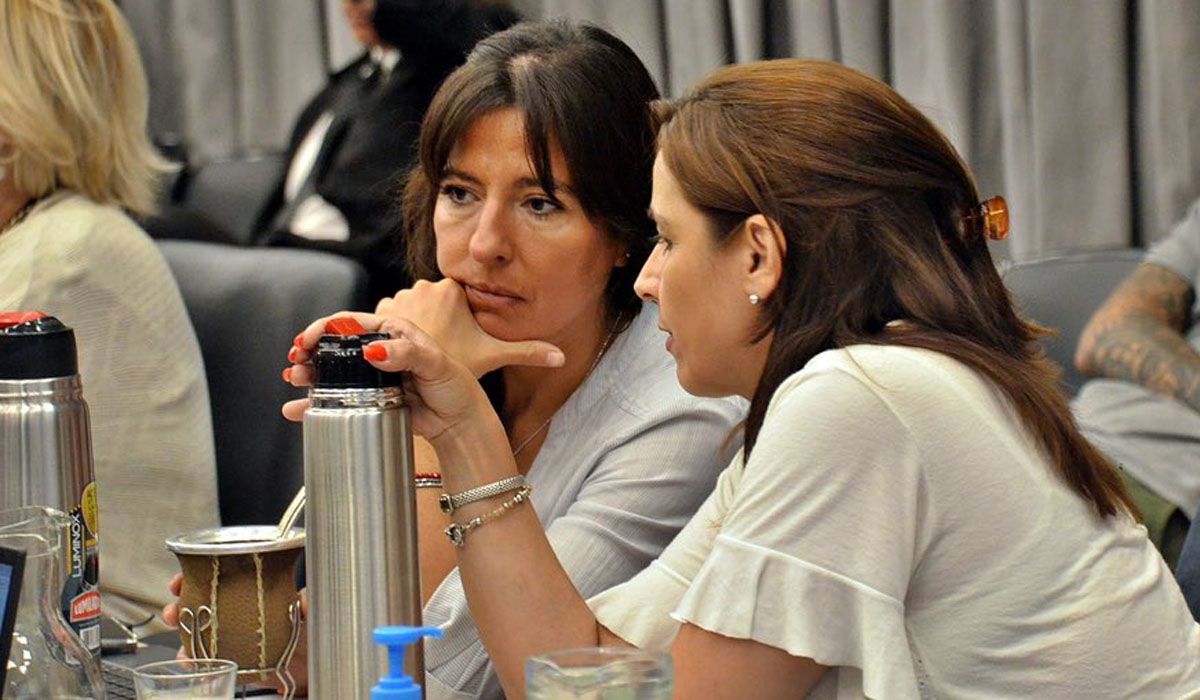 Pamela Verasay, la diputada mendocina por el radicalismo durante los debates por la Ley Ómnibus de Javier Milei.
