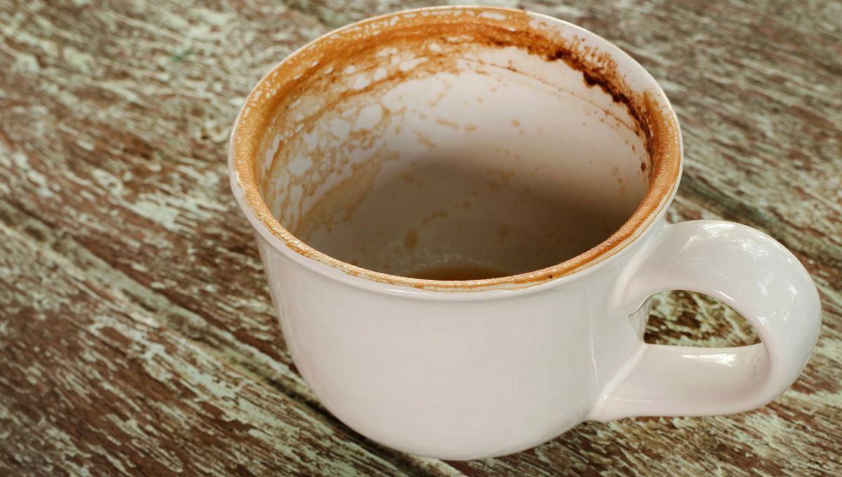 Paso a paso para poder limpiar las tazas manchadas con t&eacute; y caf&eacute;.&nbsp;