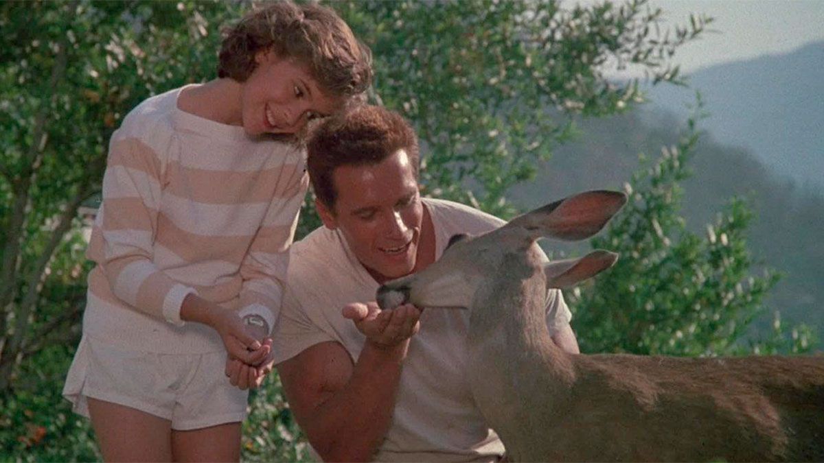 A casi 40 años, así luce la actriz que junto a Arnold Schwarzenegger protagonizaron "Comando". A casi 40 años, así luce la actriz que junto a Arnold Schwarzenegger protagonizaron "Comando".