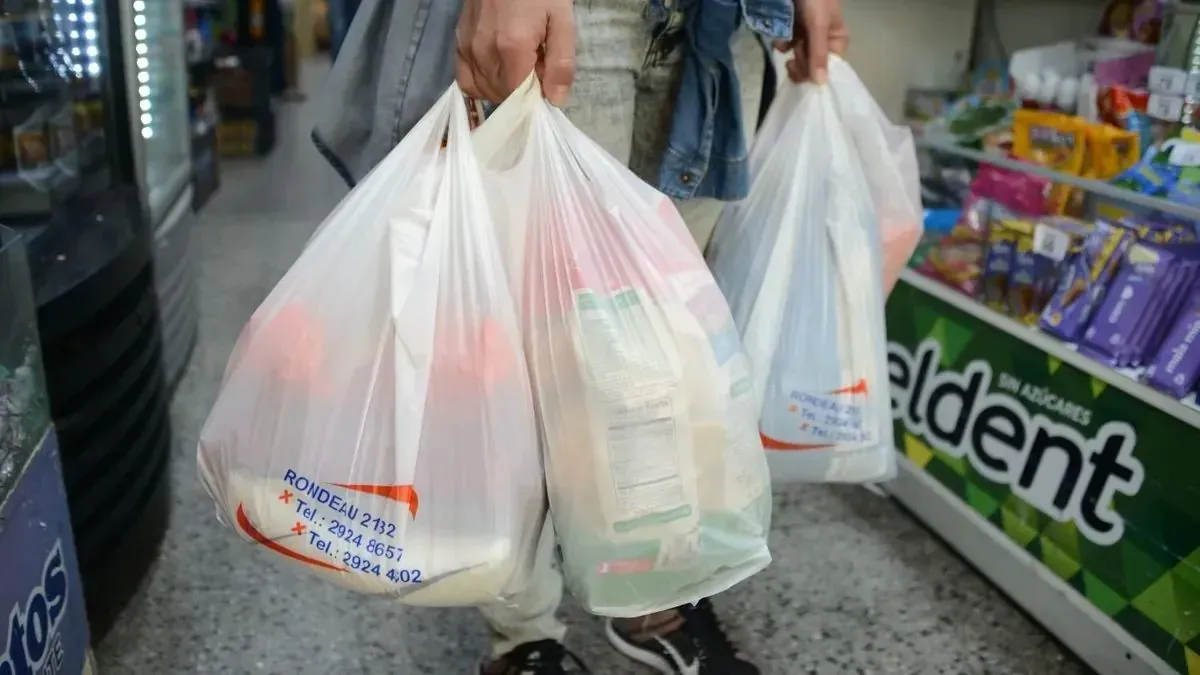 Las bolsas plásticas tienen los días contados en California.