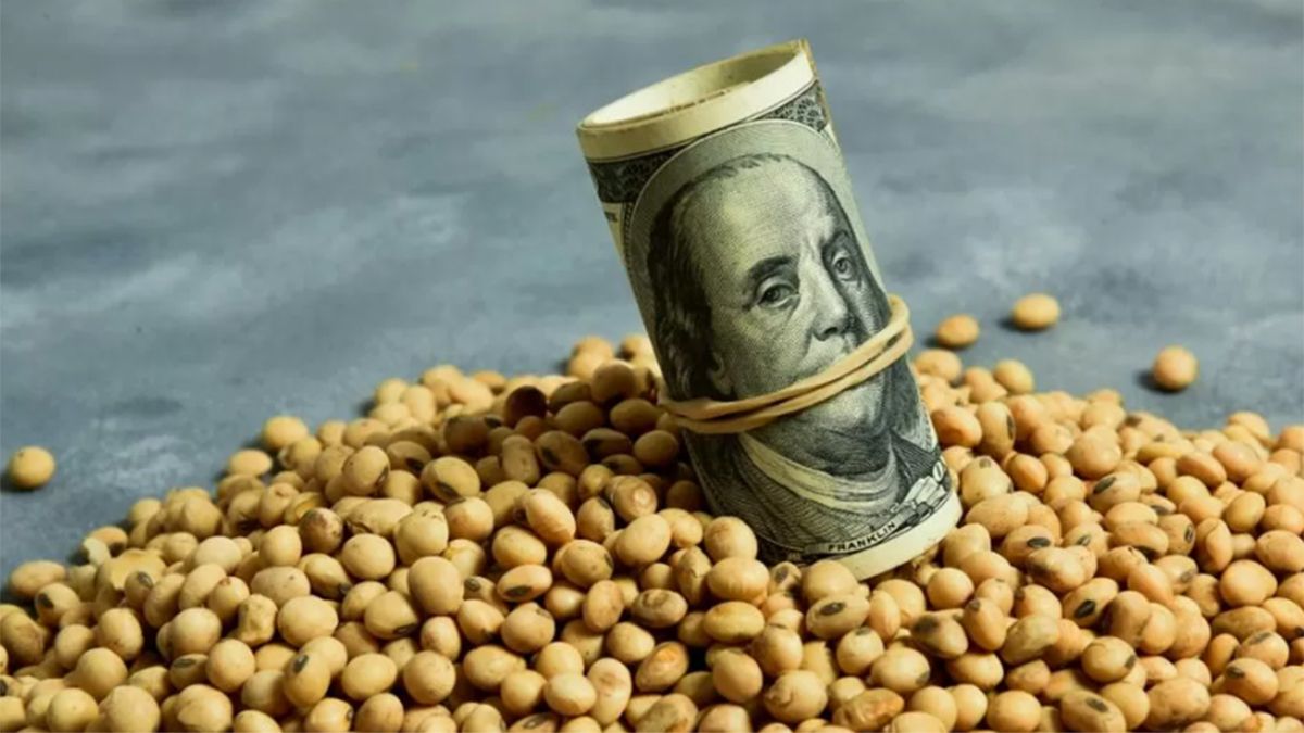 El dólar soja y una consecuencia inesperada para algunos productores.