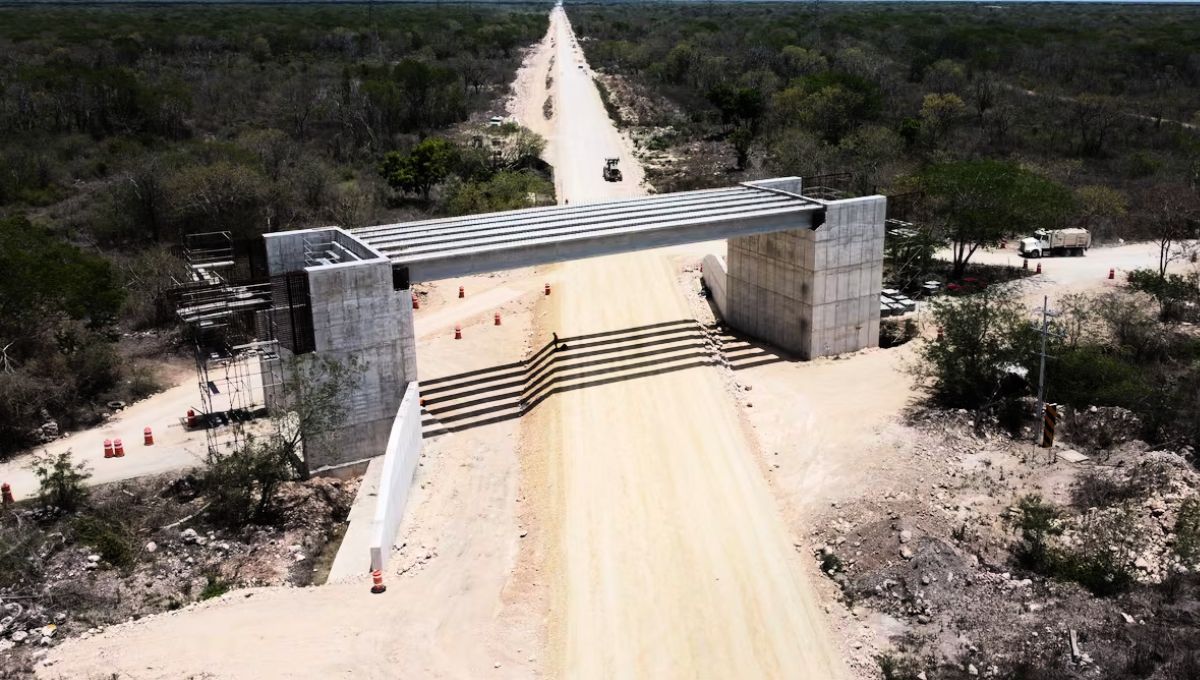 La megaobra ferroviaria de 1500 kilómetros que conecta ciudades turísticas y recibe cientos de críticas