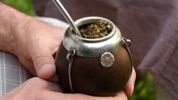 Adelgazar con mate: que hierba quema grasas y elimina toxinas del cuerpo. Foto: Freepik. 