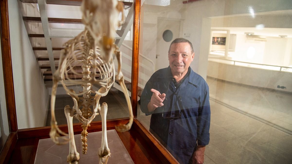 Aranguez señala un canguro que está en exposición en una de las vitrinas.