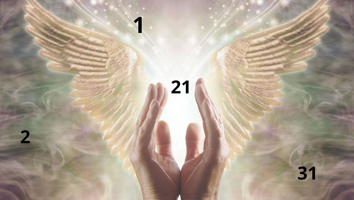 Se dice que la energía angelical y divina la llevan solo algunas personas nacidas el 2, el 11, el 21 y el 31 Se dice que la energía angelical y divina la llevan solo algunas personas nacidas el 2, el 11, el 21 y el 31