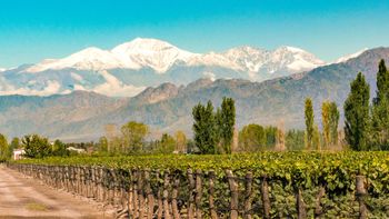 Top 5 cosas para hacer en San Rafael: para mendocinos y turistas Top 5 cosas para hacer en San Rafael: para mendocinos y turistas