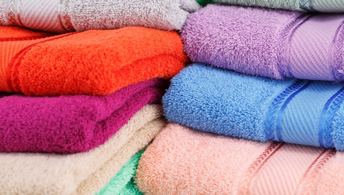 Las toallas viejas y rotas pueden convertirse en macetas. 