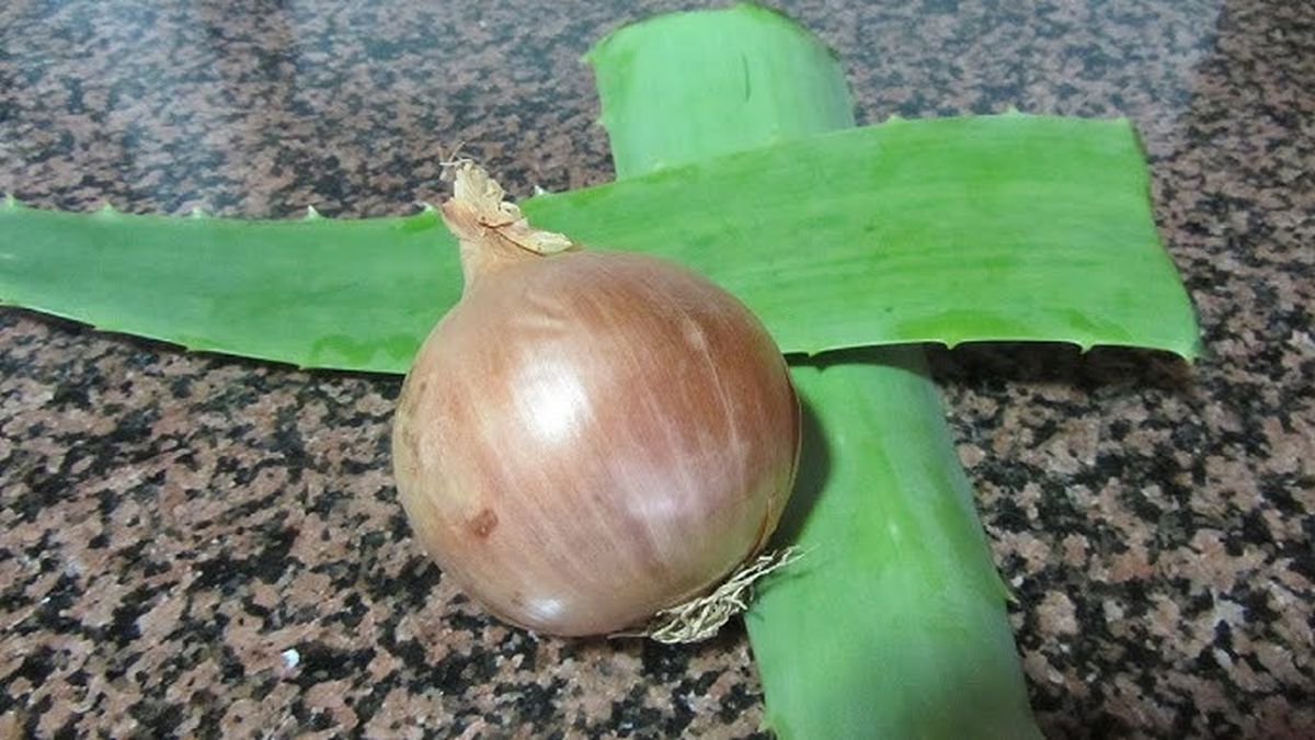 Estos dos elementos caseros pueden ser beneficiosos para tu cabello. Estos dos elementos caseros pueden ser beneficiosos para tu cabello. 