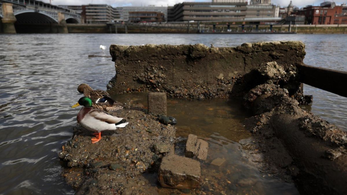 La tablet con todos los registros de ilícitos llevados a cabo por los implicados fue hallada en una zona de rocas del río Támesis La tablet con todos los registros de ilícitos llevados a cabo por los implicados fue hallada en una zona de rocas del río Támesis