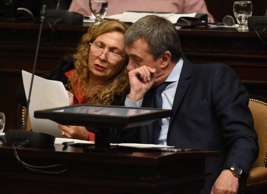 Patricia Fadel fue clave tanto en el armado político de la Legislatura, cuando fue senadora, como en los dos mandatos que tuvo como diputada nacional. Aquí, con Adolfo Bermejo.