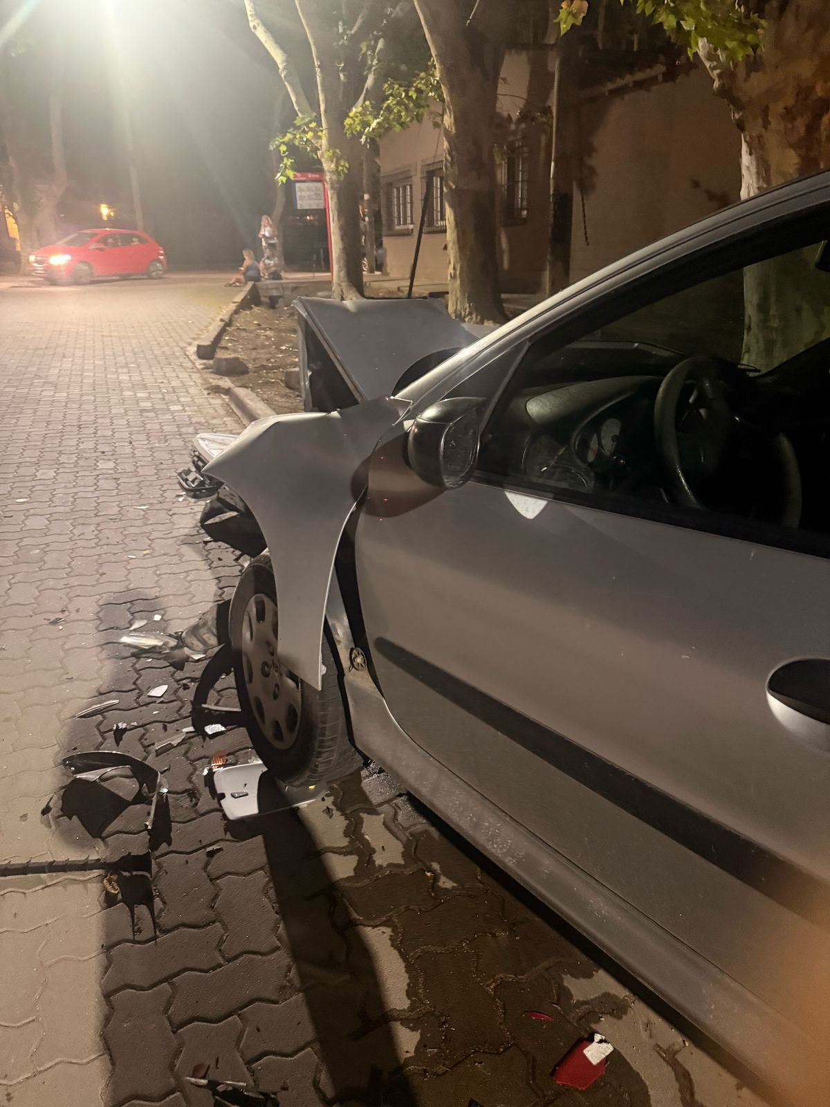 El auto destruido. El auto destruido.
