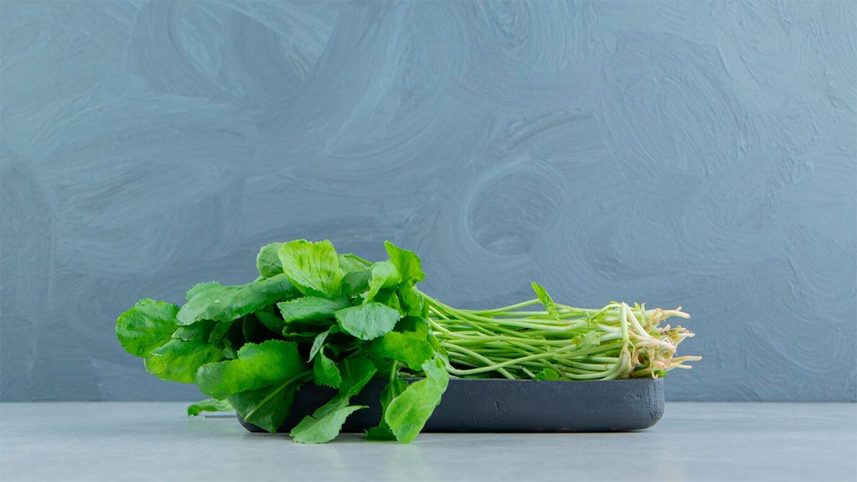 Los beneficios de comer berro: una fuente de hierro y vitaminas