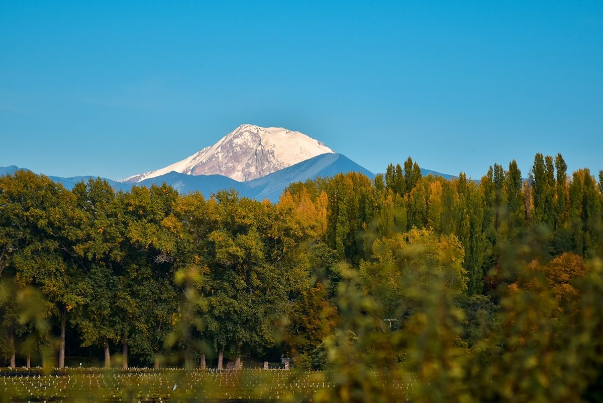 Tupungato te espera para vivir grandes experiencias todos los fines de semana de marzo, son propuestas especiales `low cost´