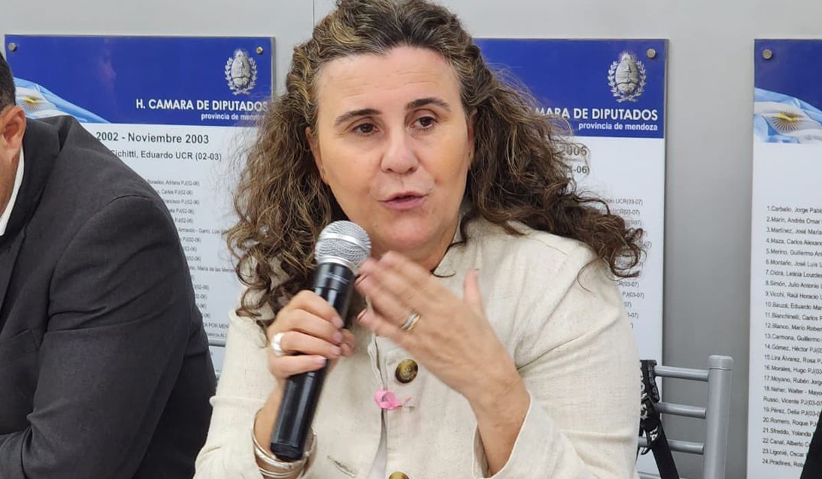 La ministra de Salud, Ana María Nadal, también está en la mira de quienes evalúan las mejores propuestas para llevar al Congreso de la Nación. Esa posibilidad tendría el aval del gobernador Rodolfo Suarez.