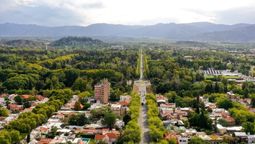 Aún no se reglamenta le nueva Ley de Arbolado Público