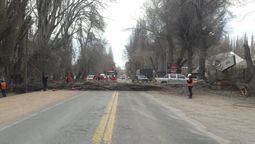 El árbol cortó la Ruta 7 en el ingreso a Uspallata. Foto: Gentileza.