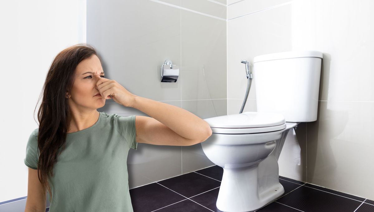 Lo ideal es usar vinagre blanco o de manzana para neutralizar el olor del baño. Lo ideal es usar vinagre blanco o de manzana para neutralizar el olor del baño. 