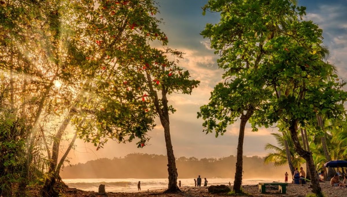 Viajar a este destino será una gran elección si deseas conocer el ecoturismo. Viajar a este destino será una gran elección si deseas conocer el ecoturismo.