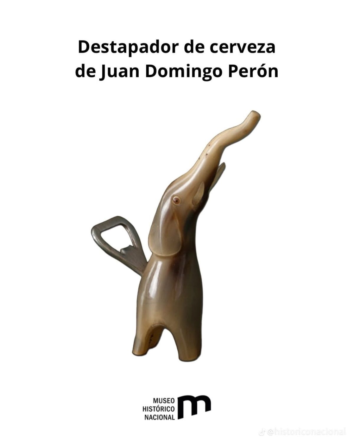 Destapador de cerveza. Destapador de cerveza.