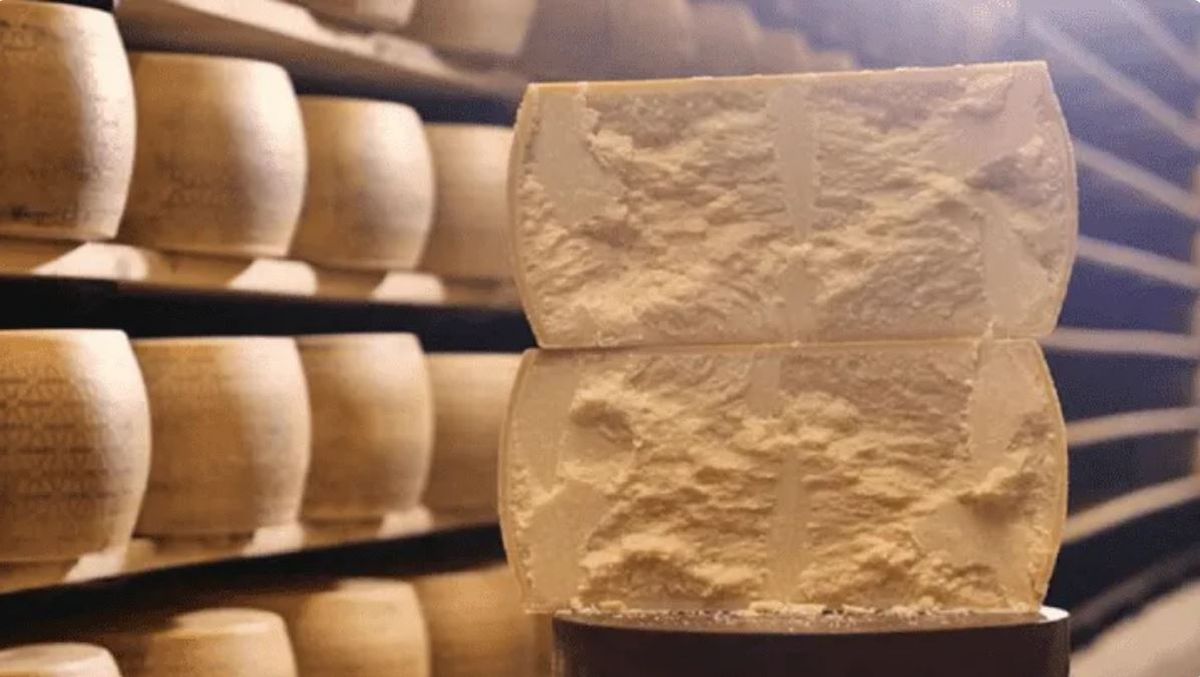 ¿Cómo lo hacen? Reveló con qué se elabora el queso parmesano y traumó a todos.
