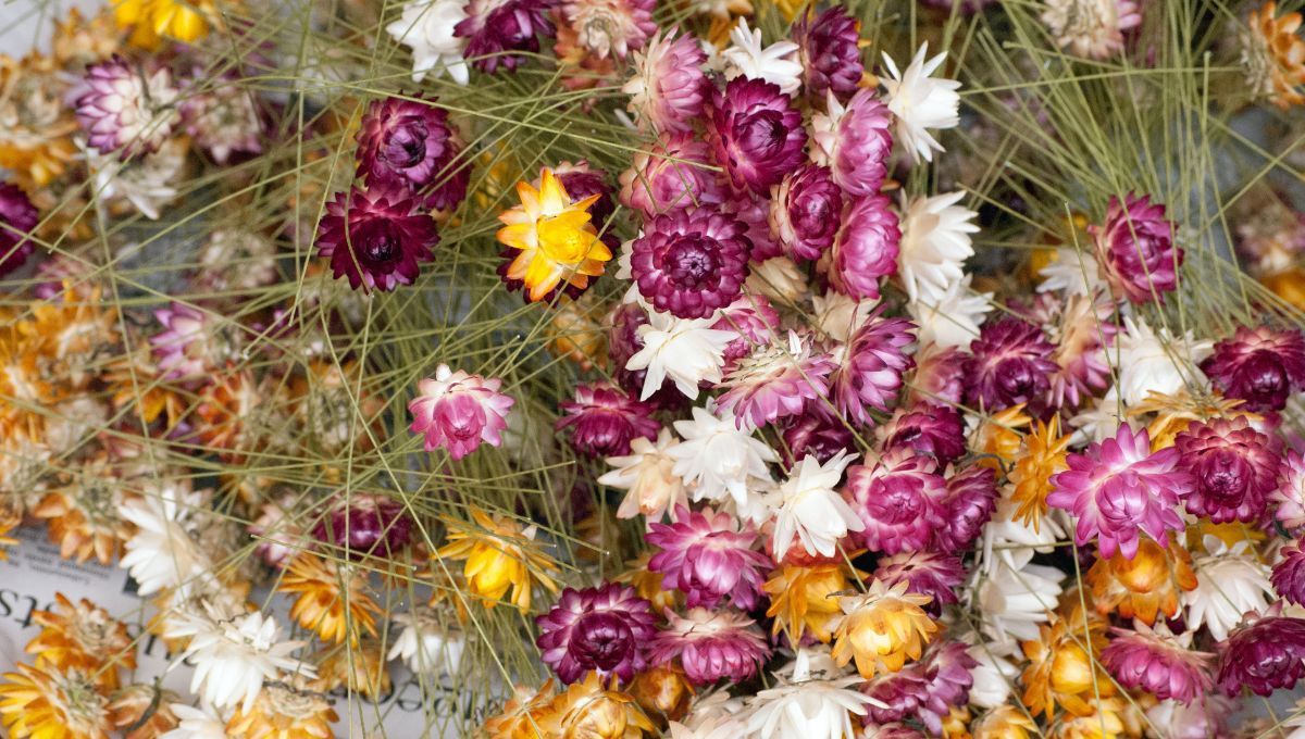 Si se secaron las flores de tu florero