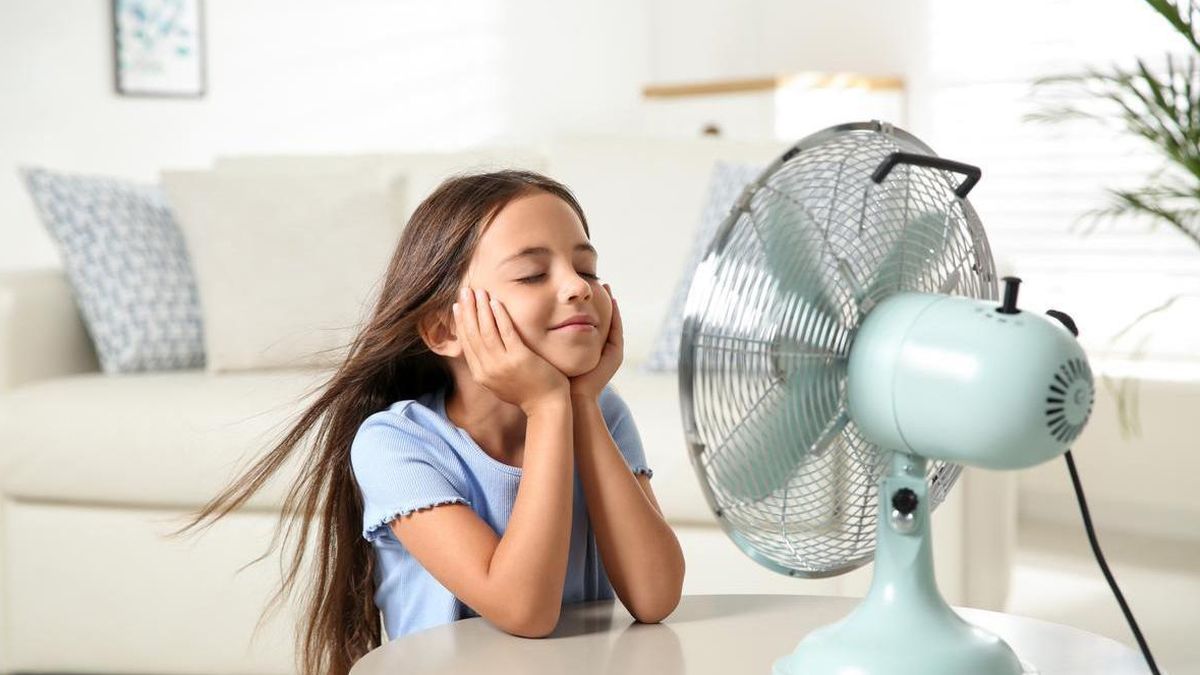 Trucos de limpieza: cómo limpiar el ventilador sin desarmarlo.
