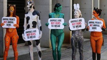 Los animalistas también exigen lenguaje inclusivo