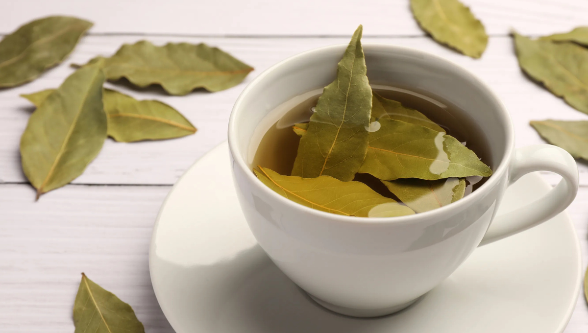 Por qué tomar té de laurel: estos son los 5 beneficios