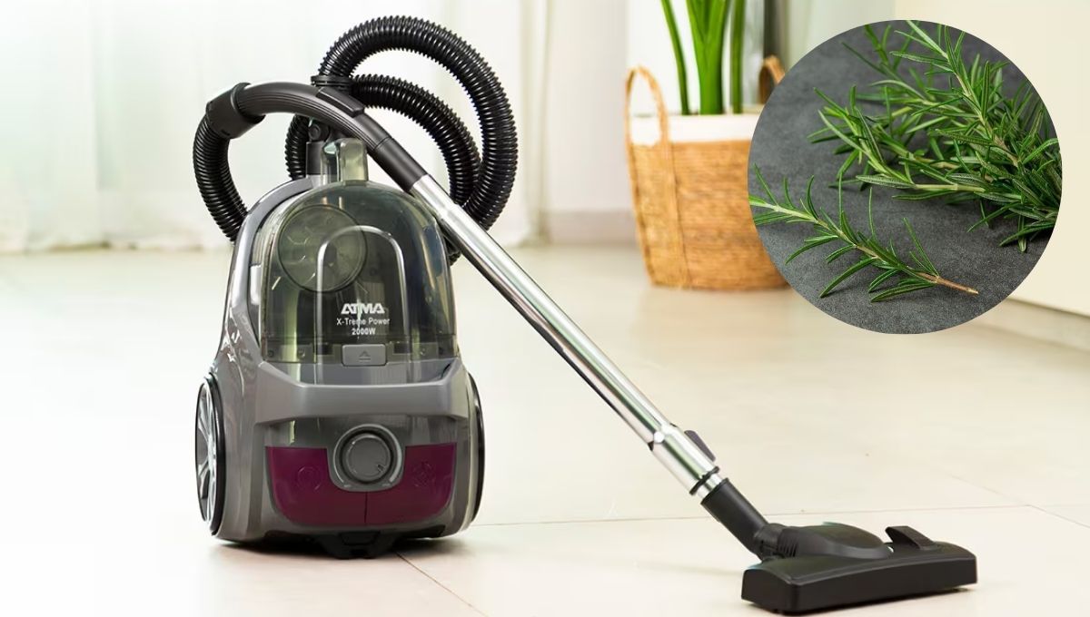 Colocar romero dentro de la aspiradora puede darte grandes beneficios