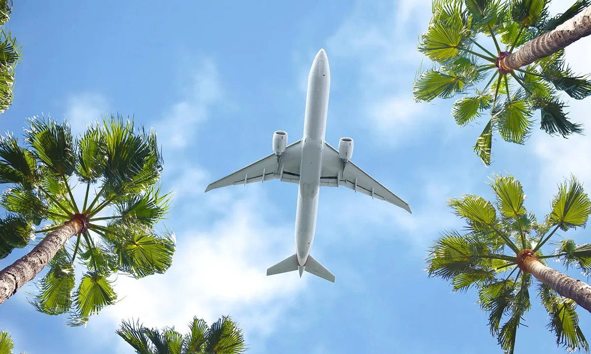 Hay diferentes trucos para los vuelos nacionales e internacionales Hay diferentes trucos para los vuelos nacionales e internacionales