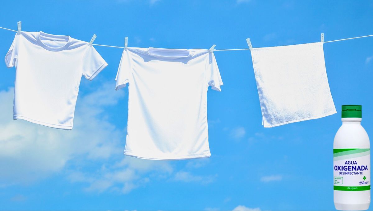 La ropa blanca es muy delicada por eso hay que tener un cuidado especial con ellas. Para eso, hay un aliado indiscutible: el agua oxigenada. La ropa blanca es muy delicada por eso hay que tener un cuidado especial con ellas. Para eso, hay un aliado indiscutible: el agua oxigenada.