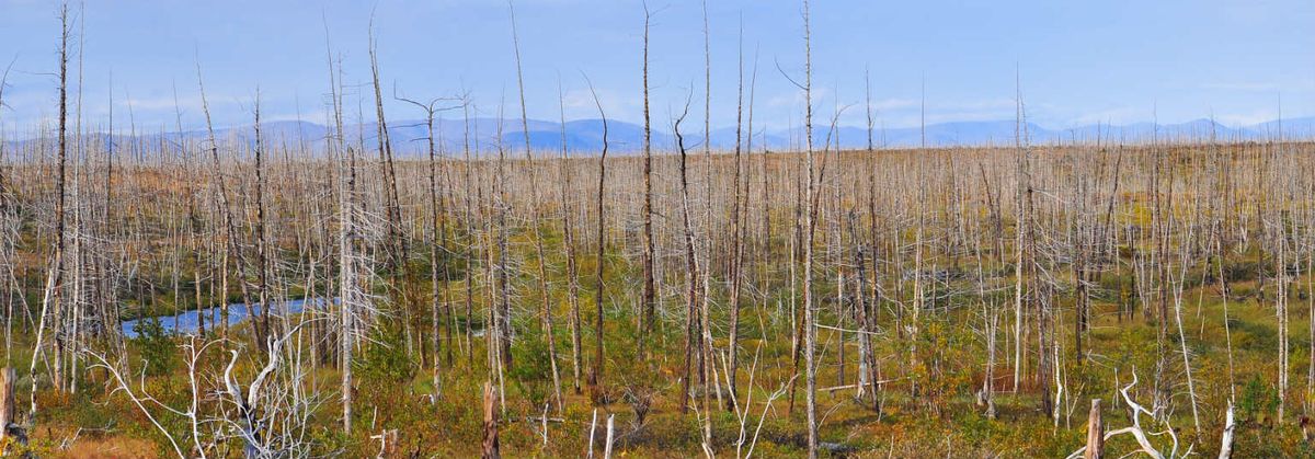 En su forma seca, la deposición ácida puede ser inhalada por los seres humanos y causar problemas de salud a algunas personas. En su forma seca, la deposición ácida puede ser inhalada por los seres humanos y causar problemas de salud a algunas personas.