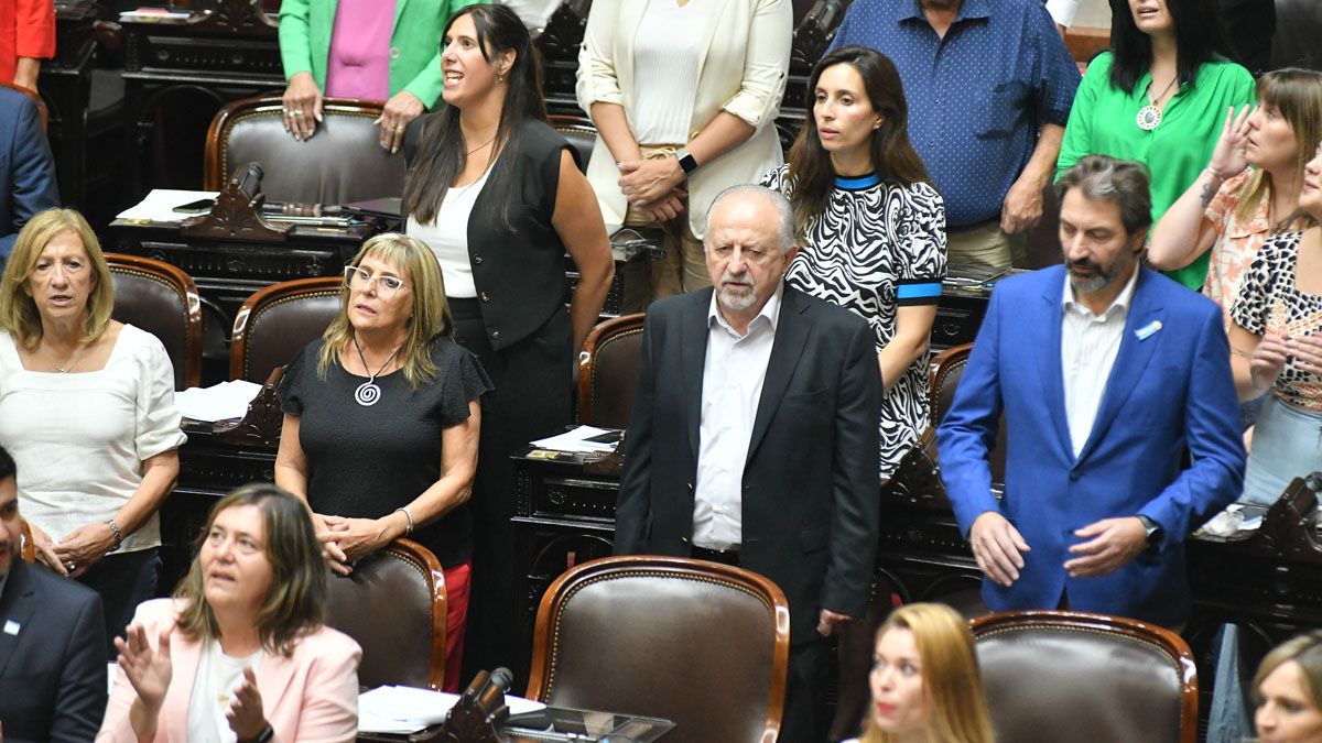 Diputados le dio media sanción a la nueva moratoria. Arriba, a la izquierda, la mendocina Marisa Uceda, que defendió el proyecto.